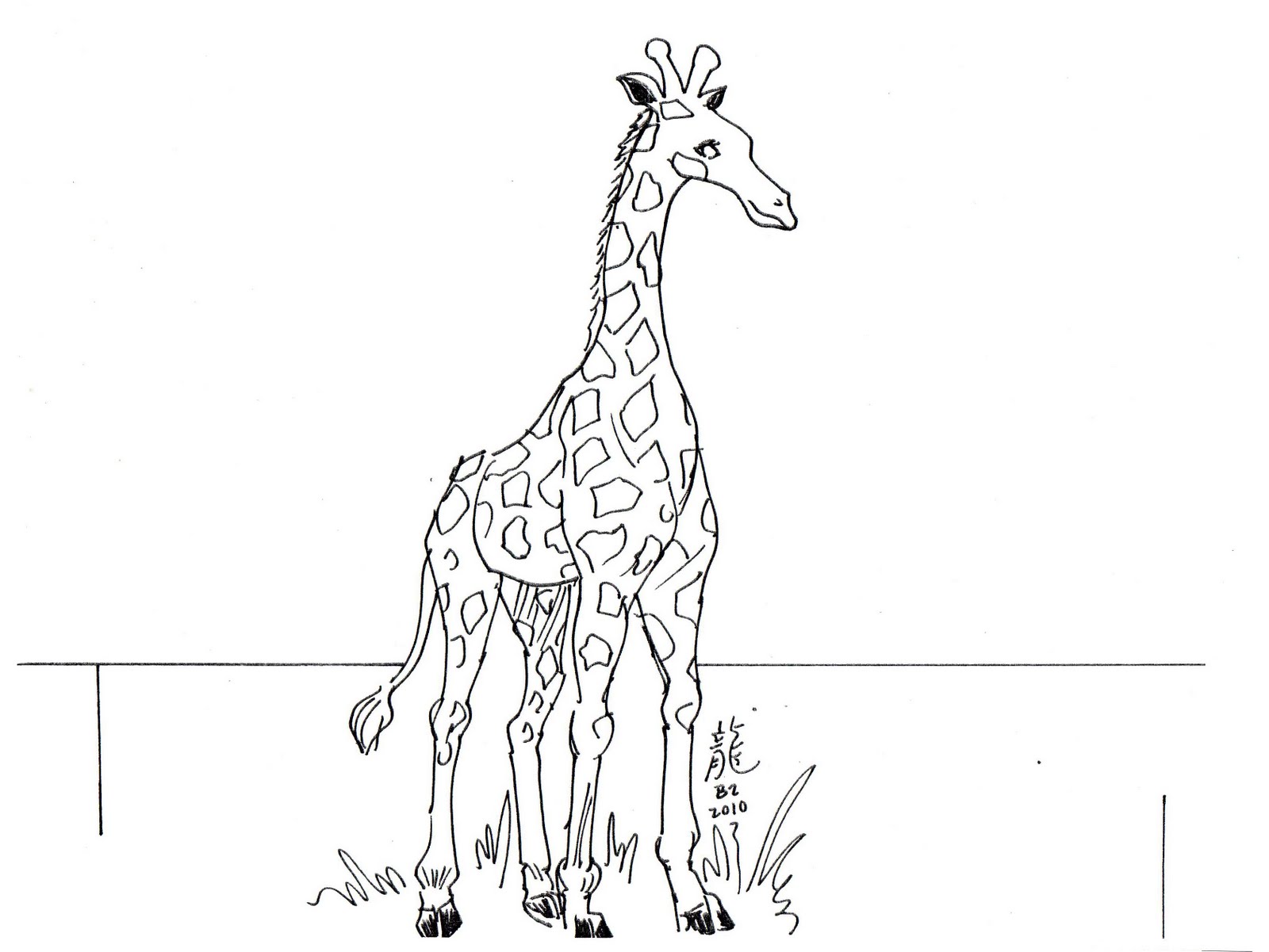 Giraffe for Kids Pictures