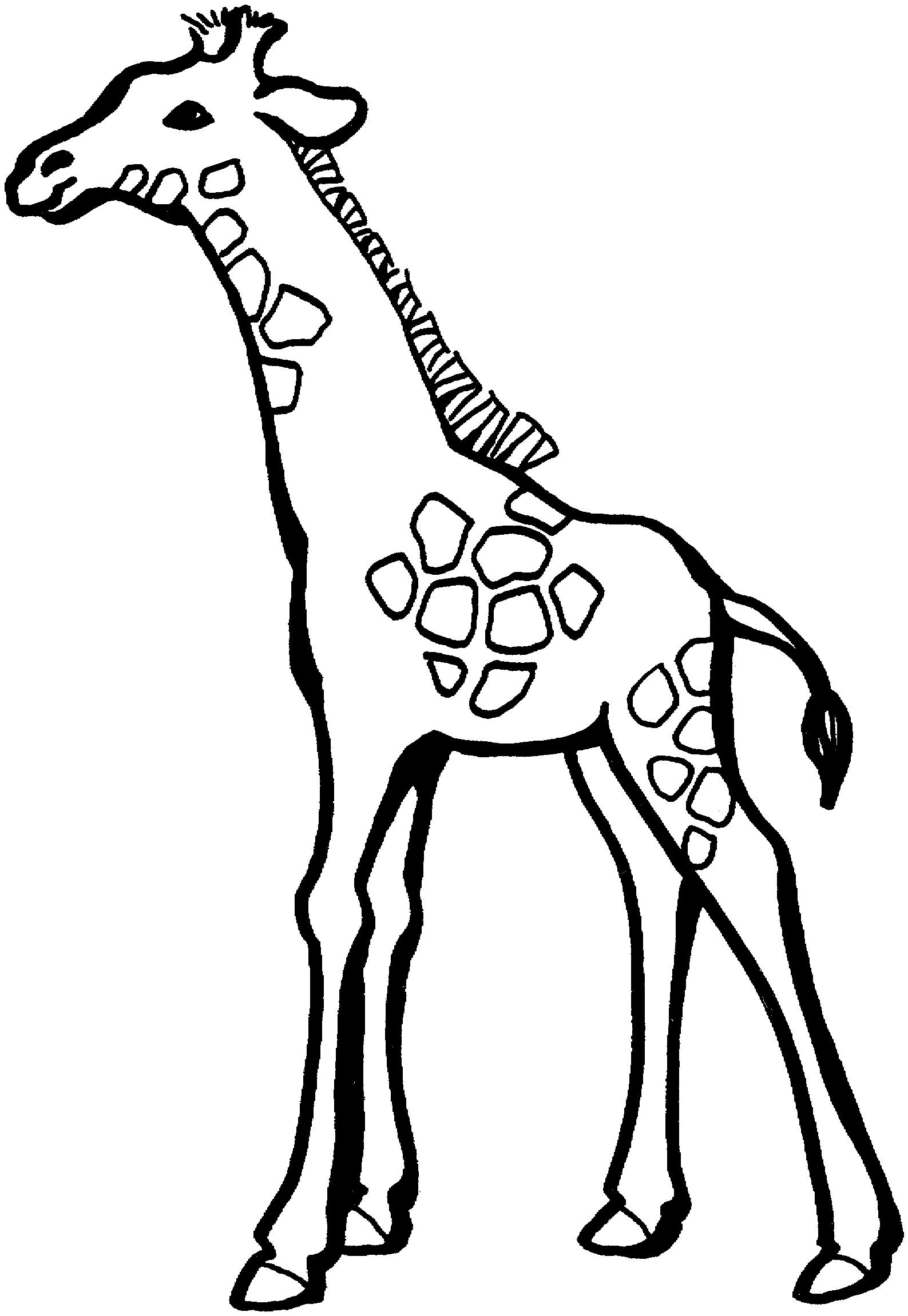 Giraffes Printable