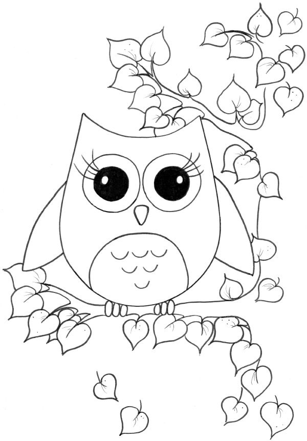 Girl Owl S For Girls 60bb Coloring Page