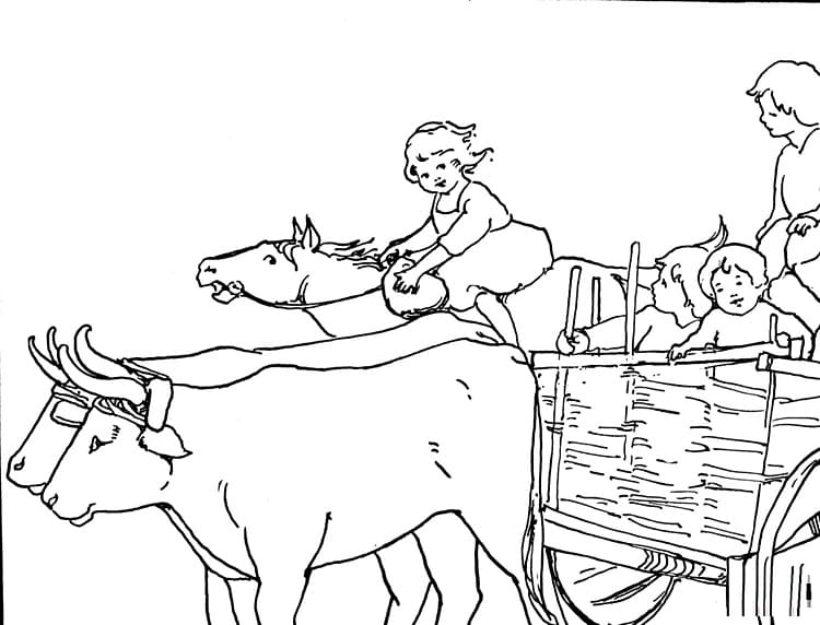 Girl Rides Oxen