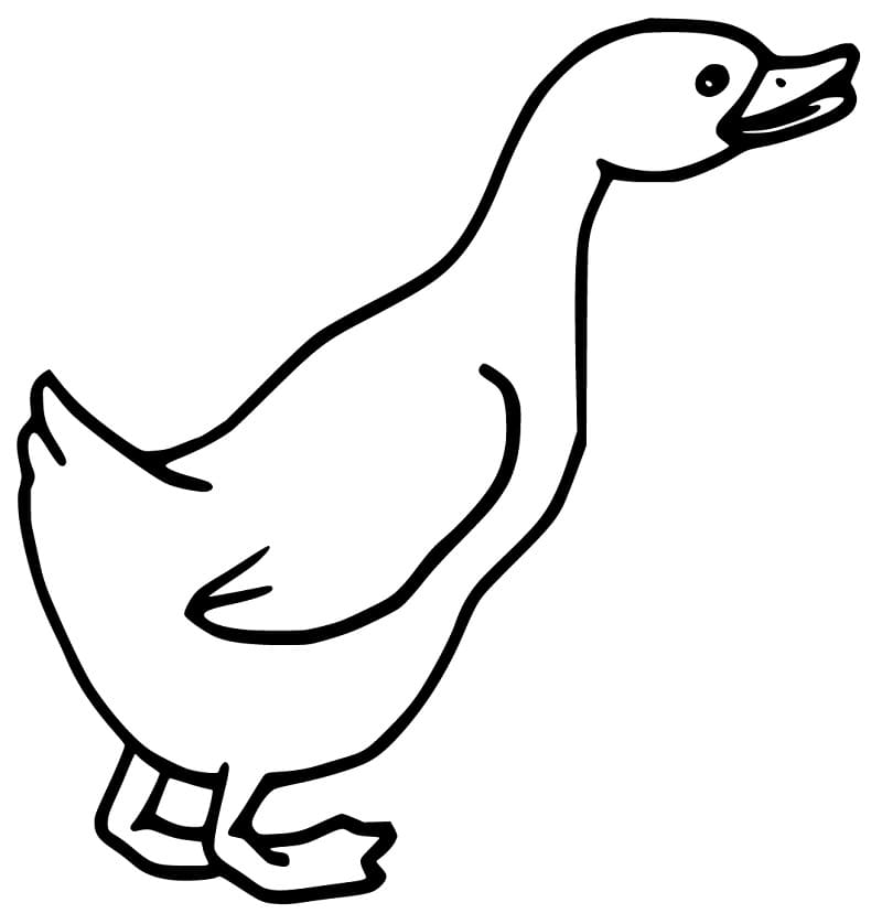 Goose 10