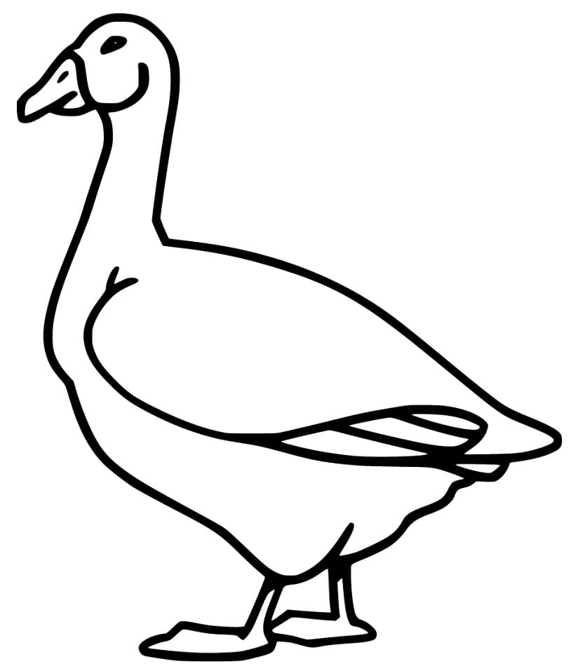 Goose 12
