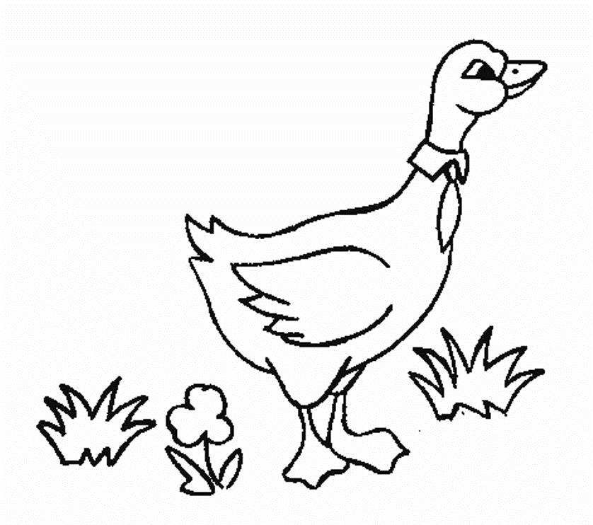 Goose Printable Animal S For Kids6cf5 Coloring Page