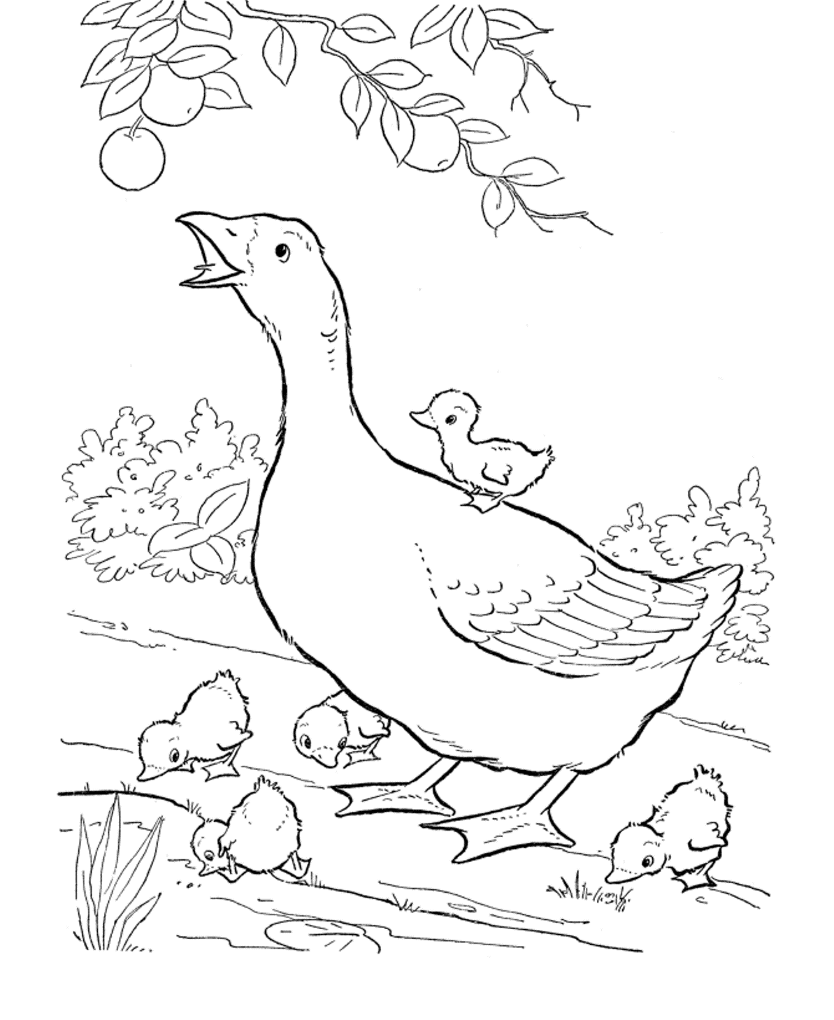 Goose Printable Animal Scaf6 Coloring Page