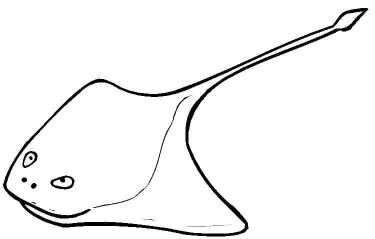 Green Stingray Coloring Page