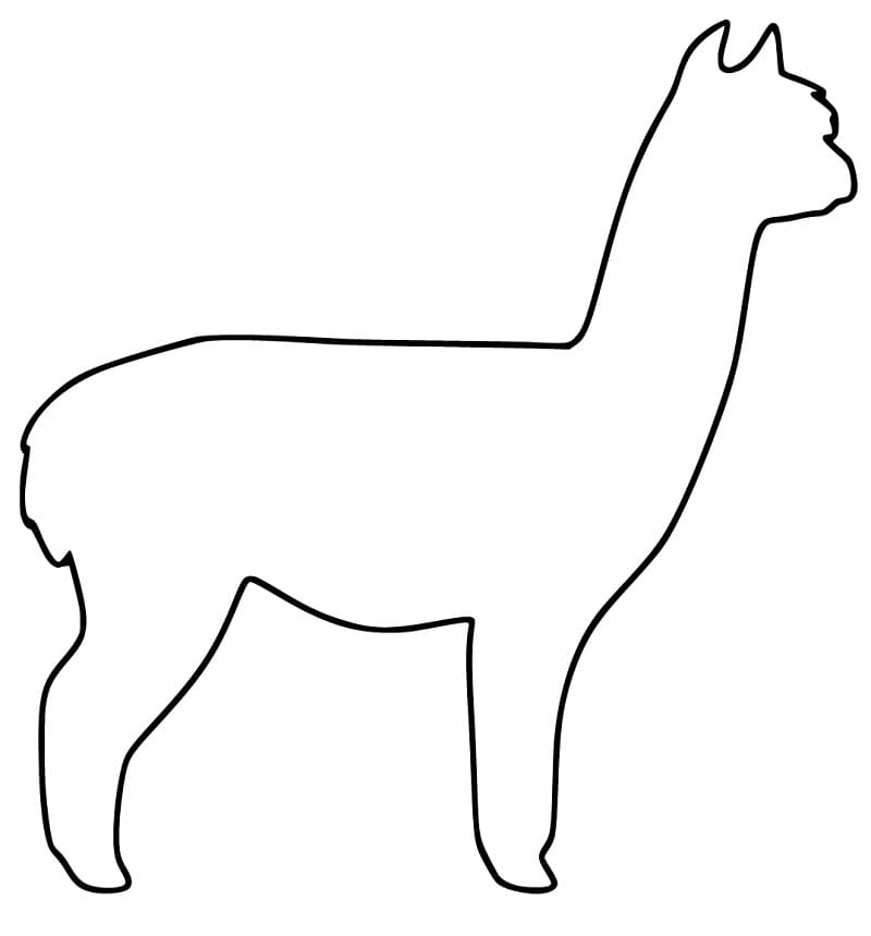 Guanaco Outline Coloring Page
