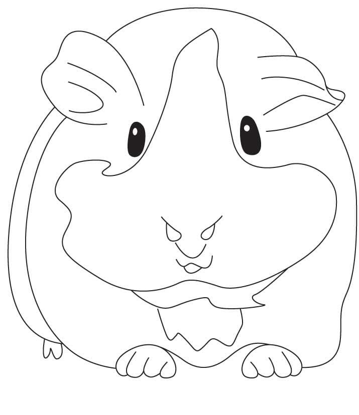 Guinea Pig 2 Coloring Page