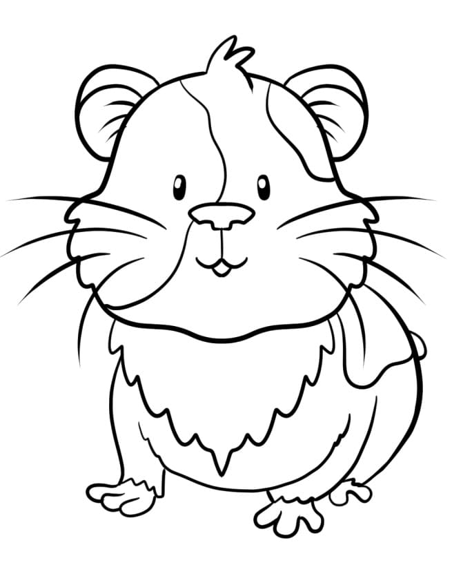 Guinea Pig 3 Coloring Page