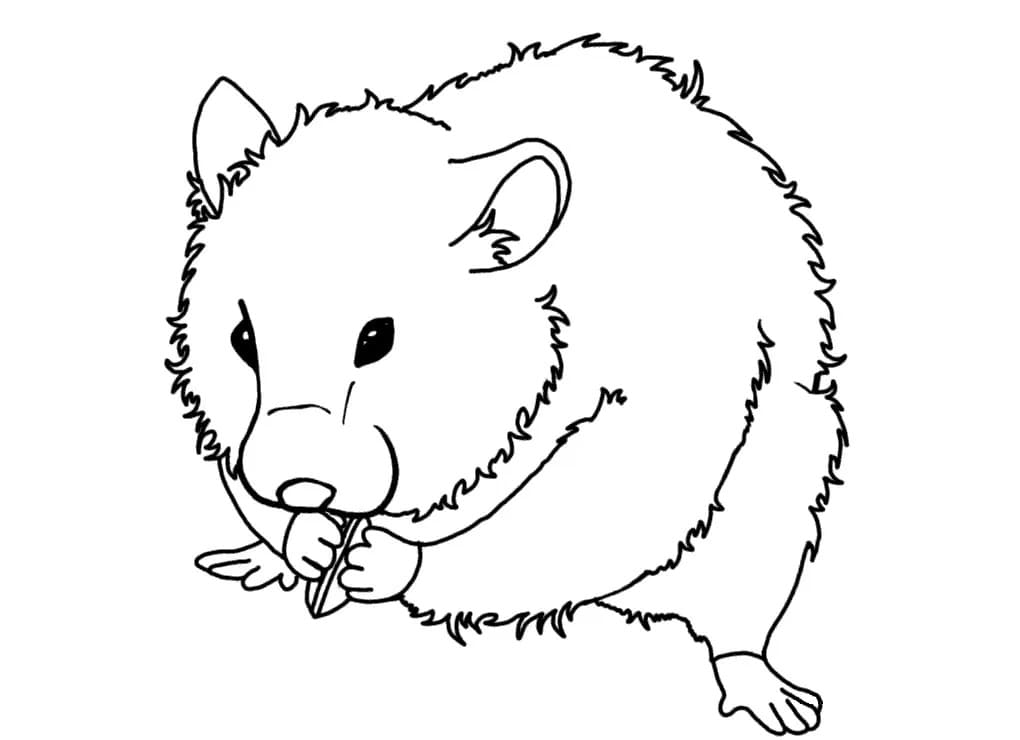 Guinea Pig 5 Coloring Page