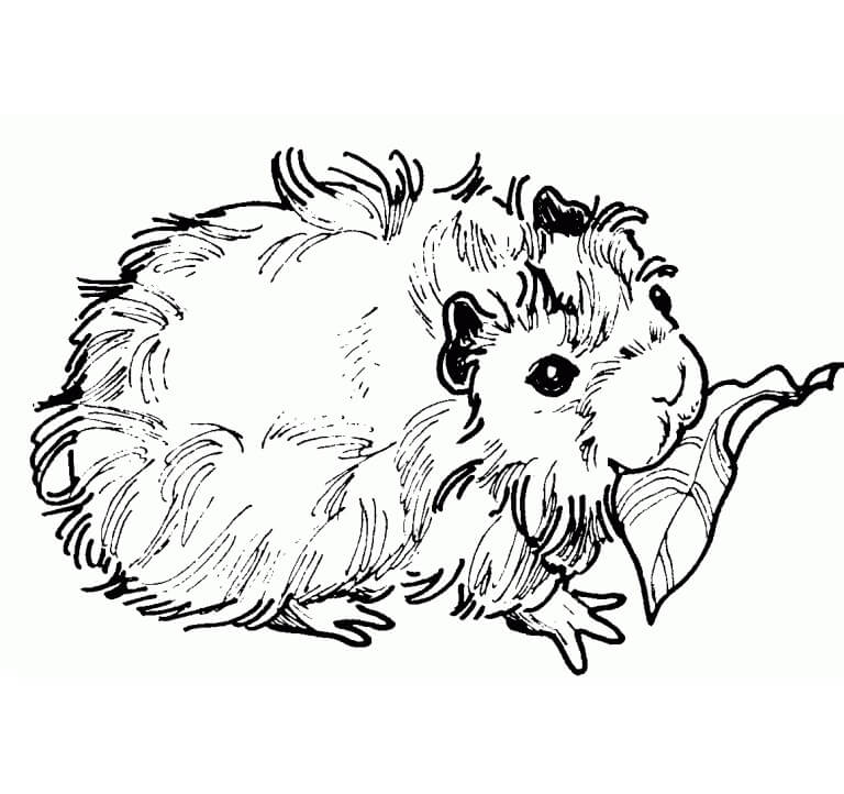 Guinea Pig and Leaf Coloring Page