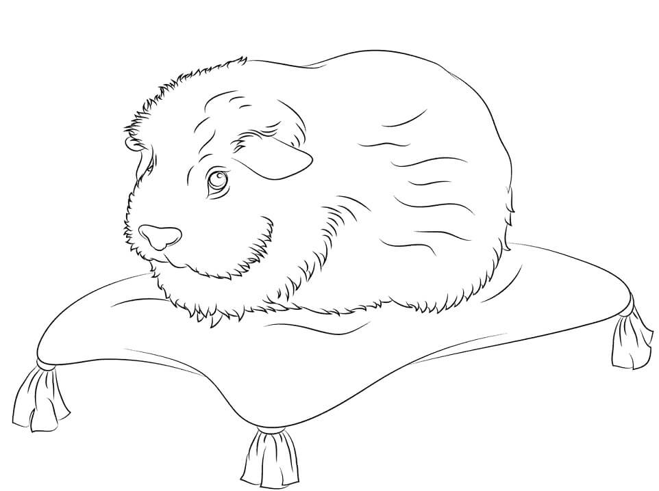 Guinea Pig on Pillow Coloring Page