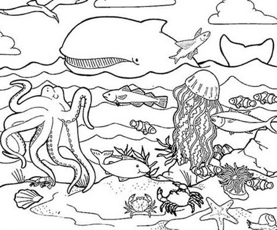 Habitat S Of Sea Animalsfca7 Coloring Page