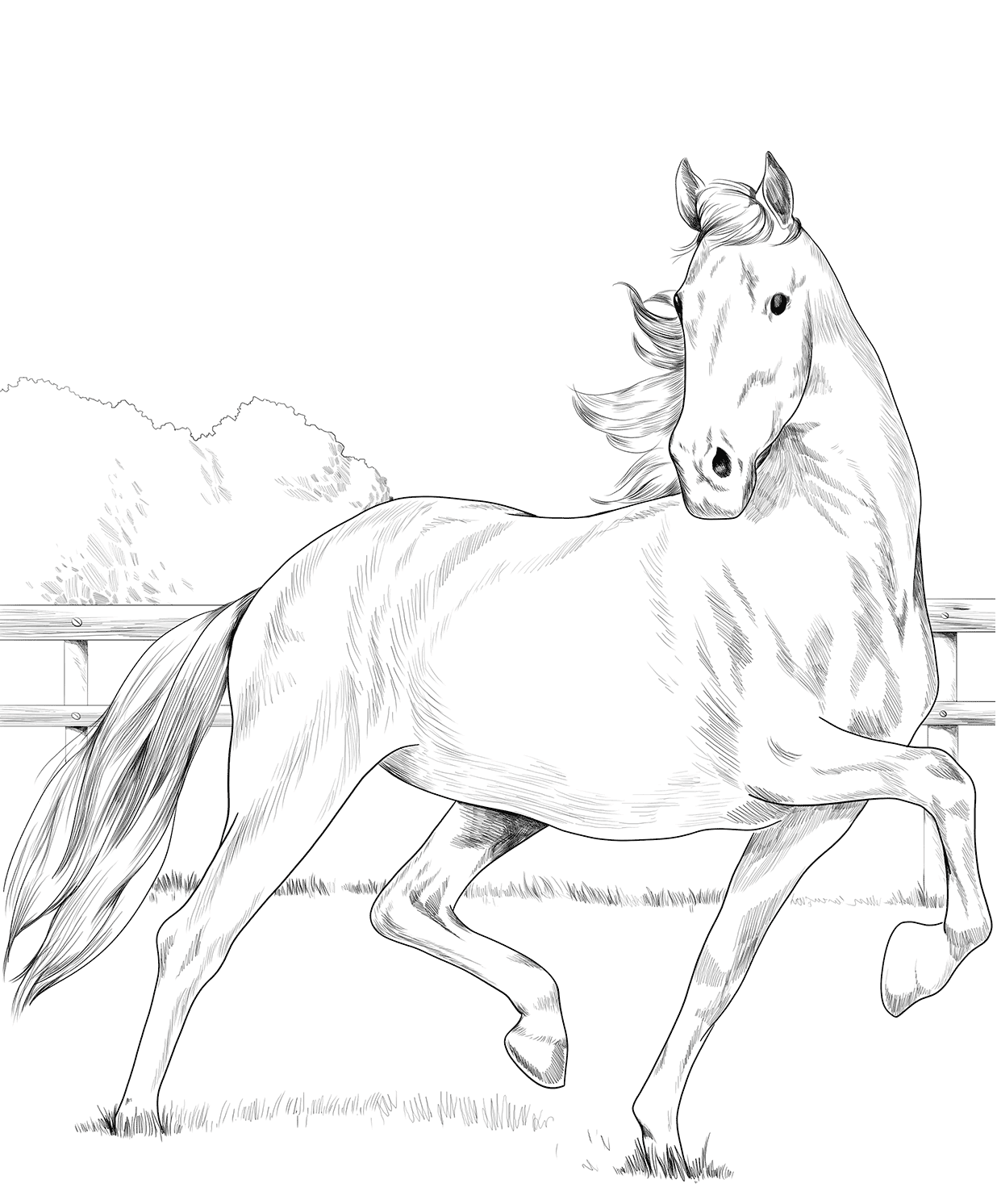 Hackney Horse Coloring Page