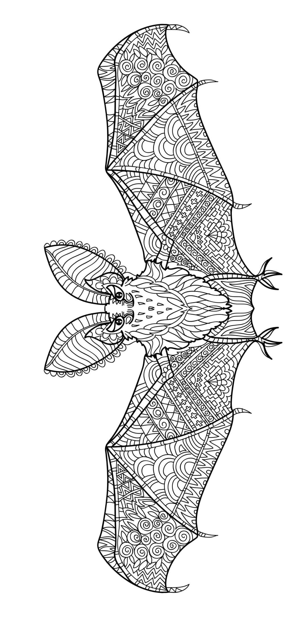 Halloween Adult Bat Flying Coloring Page