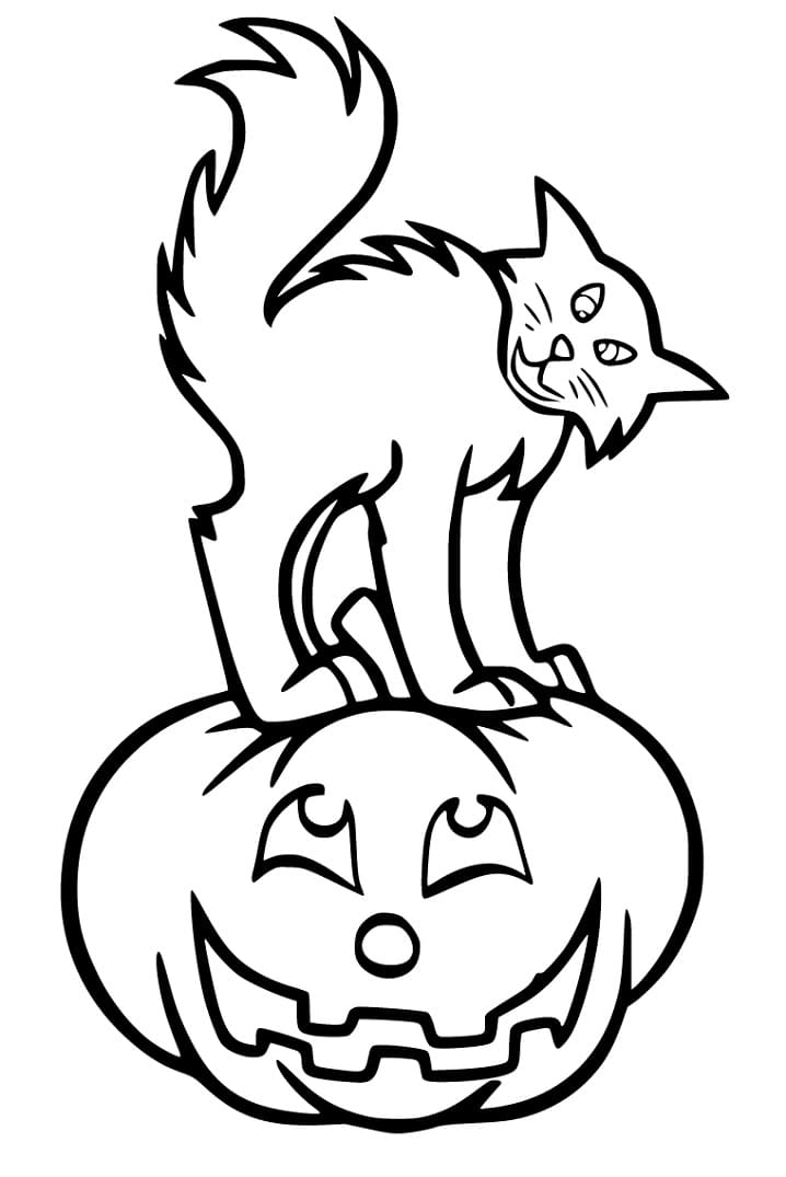 Halloween Cat on Pumpkin Coloring Page