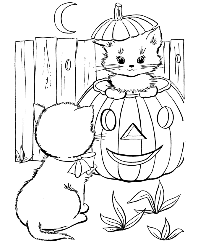 Halloween Cat S For Kids Coloring Page