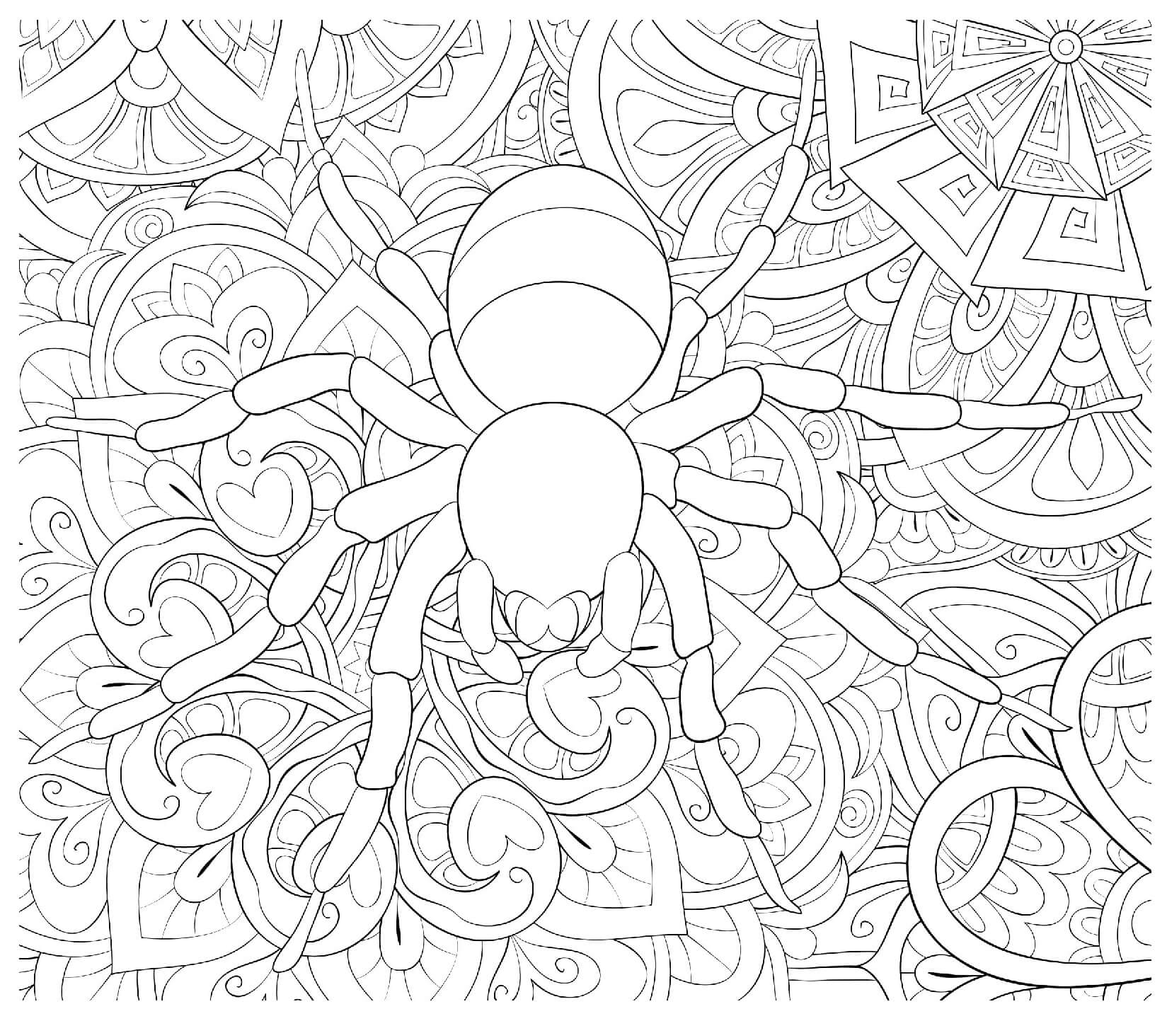 Halloween Spider Intricate Pattern Coloring Page