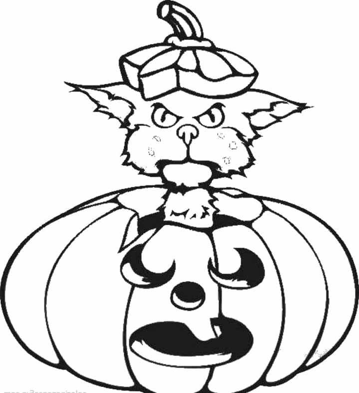 Hallween Black Cat Coloring Page