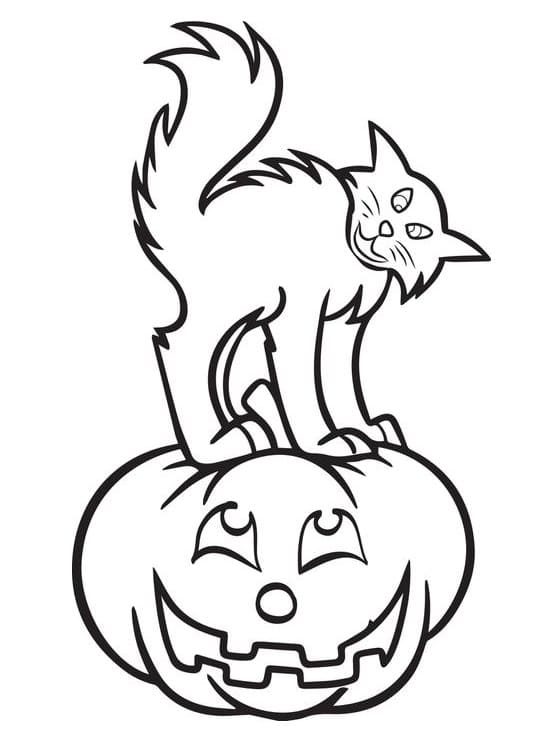 Hallween Cat 11 Coloring Page
