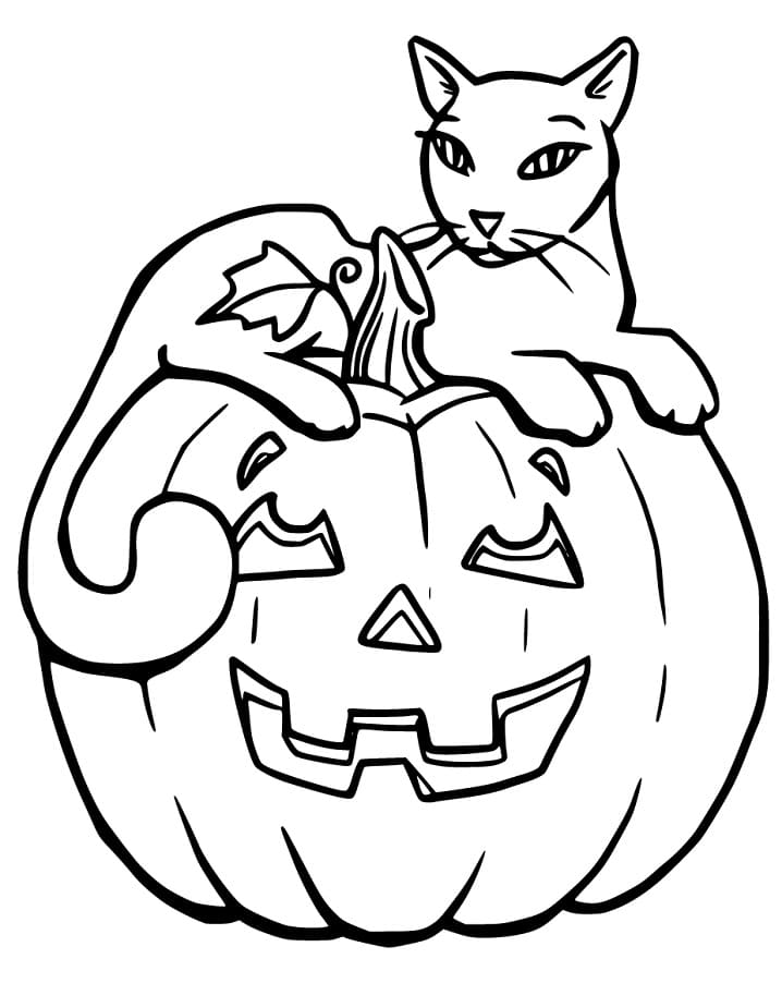 Hallween Cat 4 Coloring Page