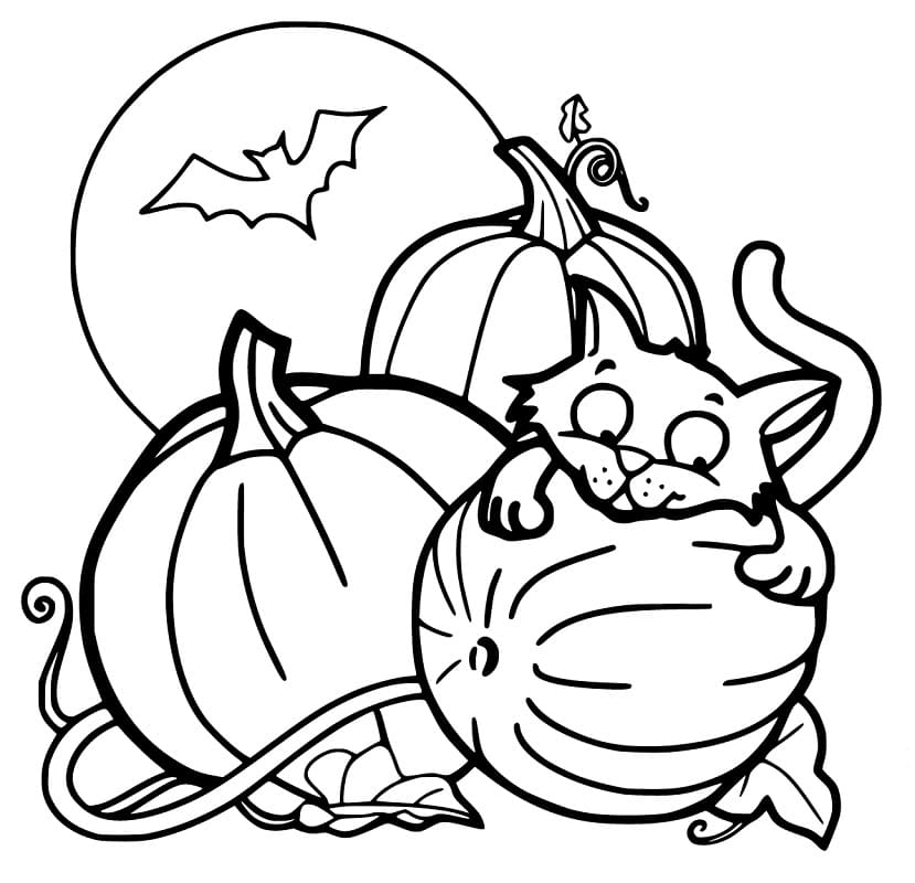 Hallween Cat 7 Coloring Page