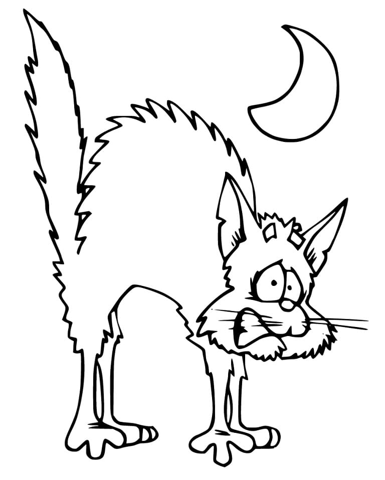 Hallween Cat is Scary Coloring Page
