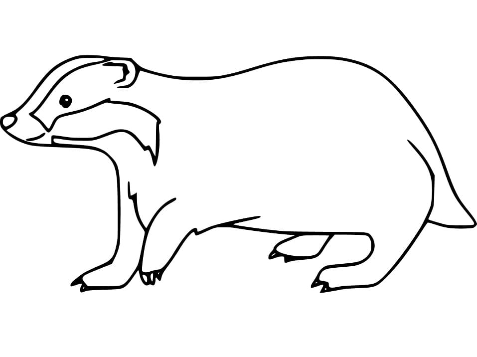 Happy Badger Coloring Page