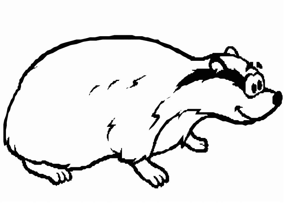 Happy Badger Smiling Coloring Page