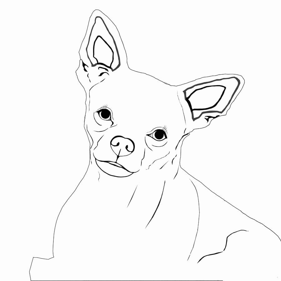 Happy Chihuahua Coloring Page
