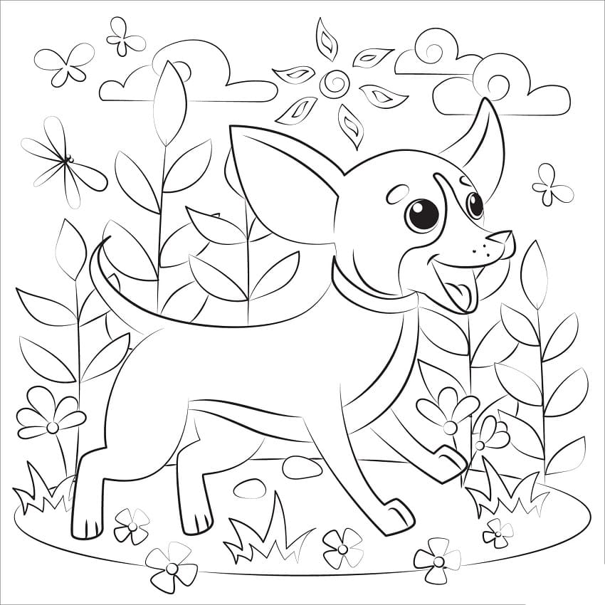 Happy Chihuahua Dog Coloring Page