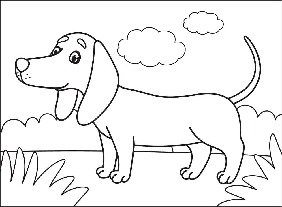 Happy Dachshund Coloring Page