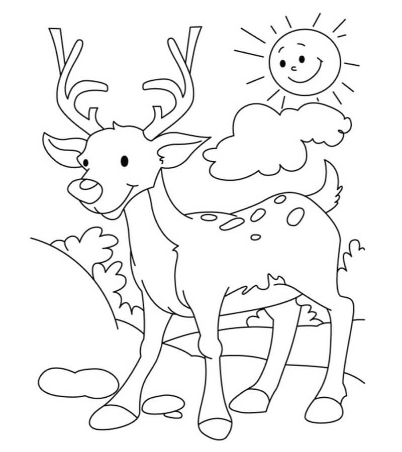 Happy Deer Coloring Page