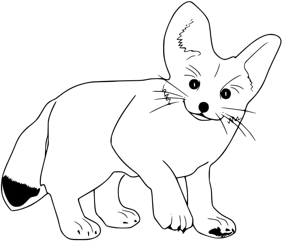 Happy Fennec Fox Coloring Page