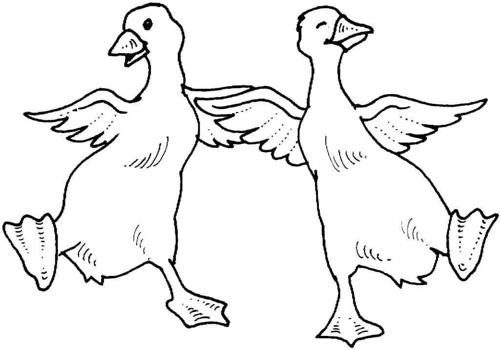 Happy Geese