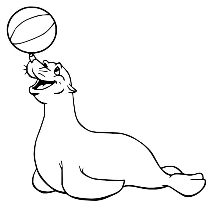 Happy Sea Lion Playing Ball