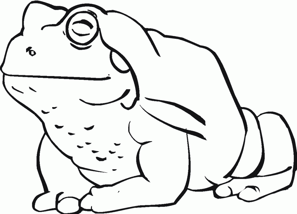 Happy Toad Coloring Page