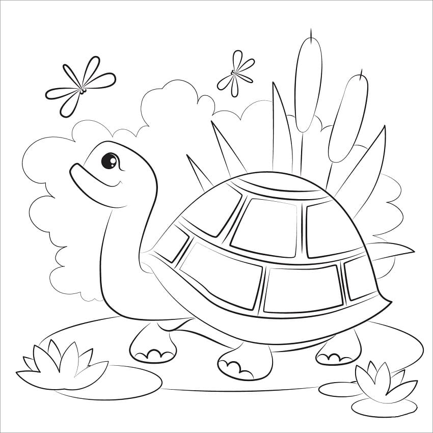 Happy Turtle coloring page