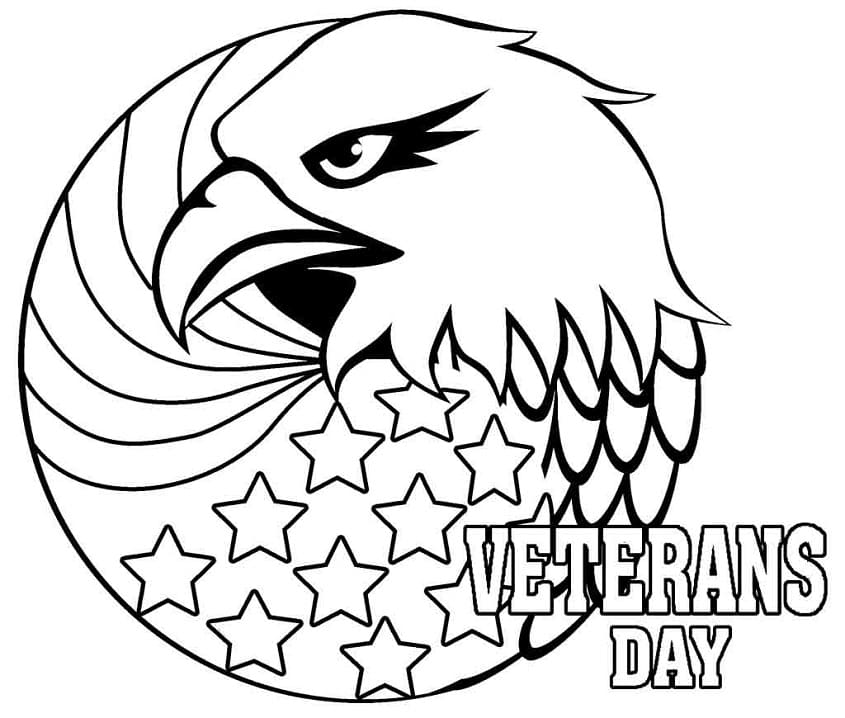 Happy Veterans Day 13