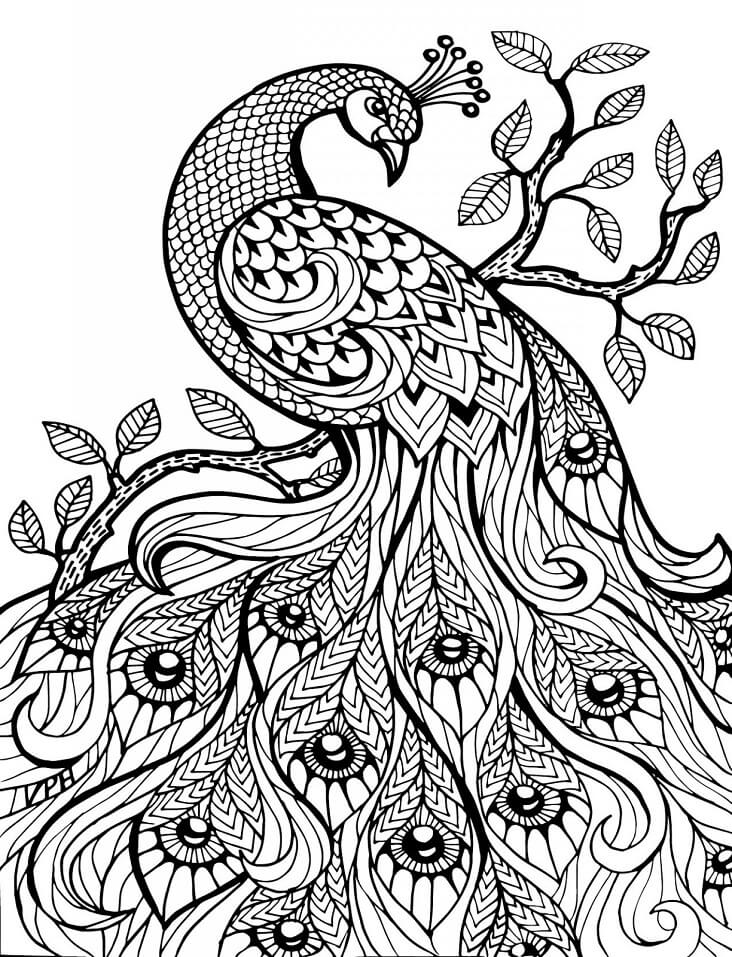 Hard Peacock Coloring Page
