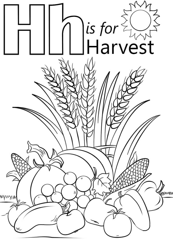Harvest Letter H Coloring Page