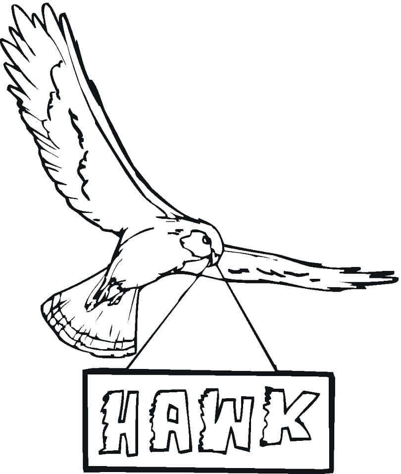 Hawk 8 Coloring Page