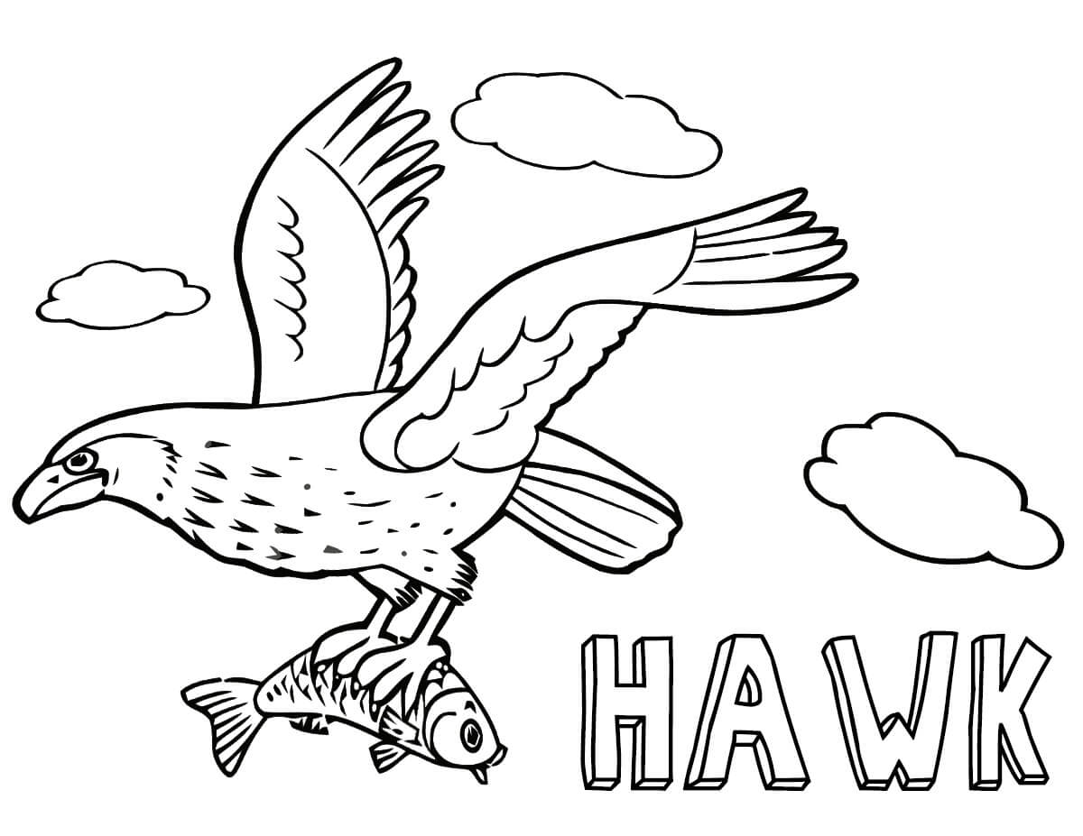 Hawk Catching Fish Coloring Page