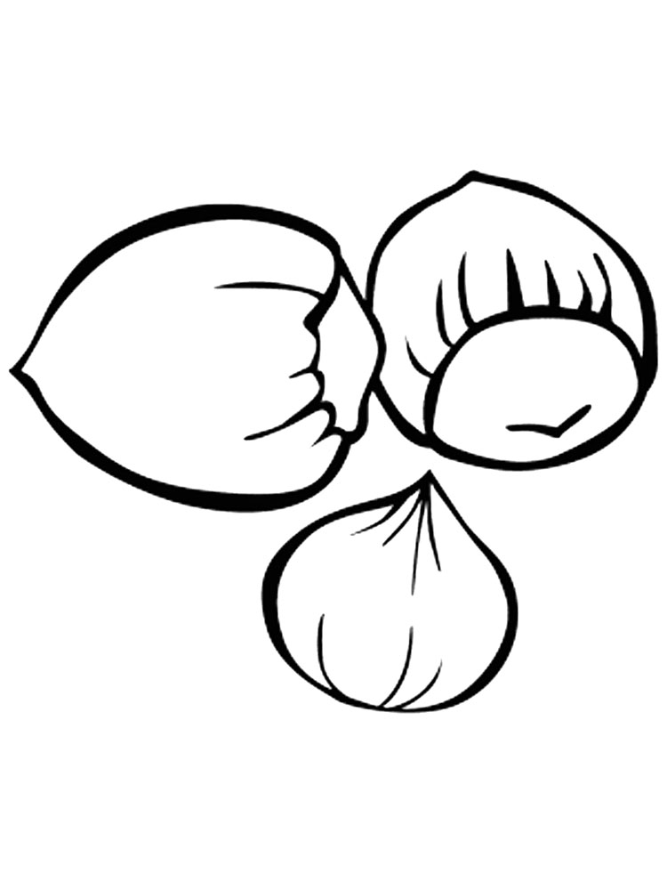 Hazelnuts Coloring Page