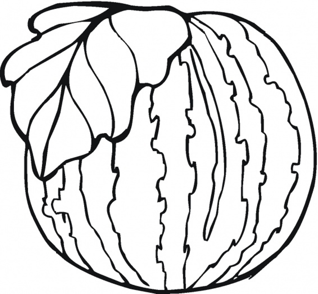 Healthy Watermelon Fruit Sd5b3 Coloring Page