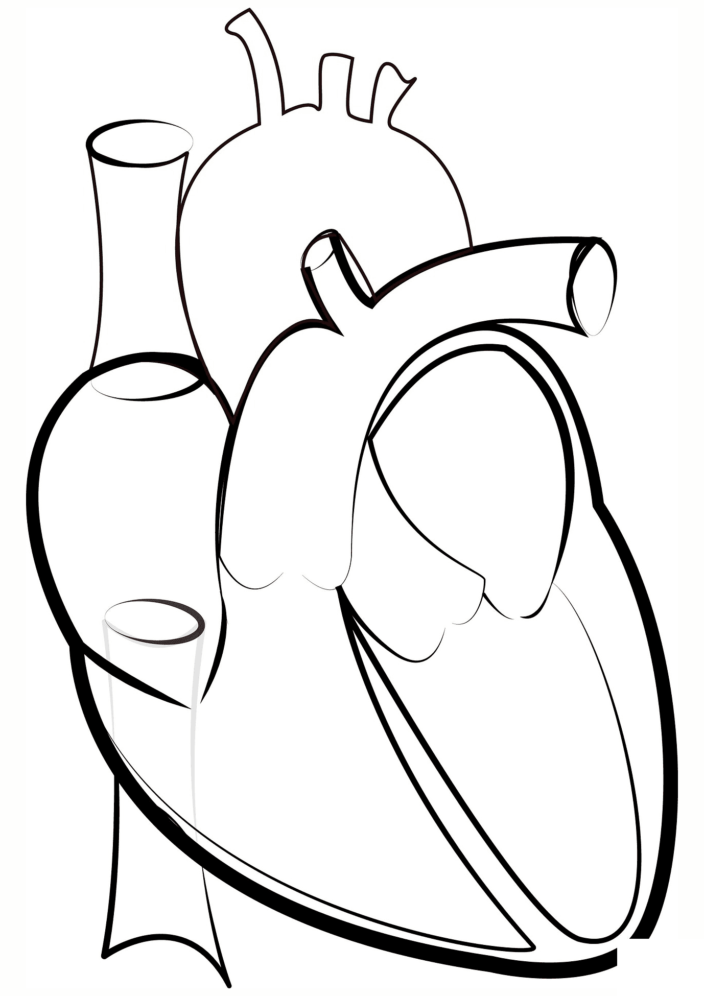 Heart Outline Coloring Page