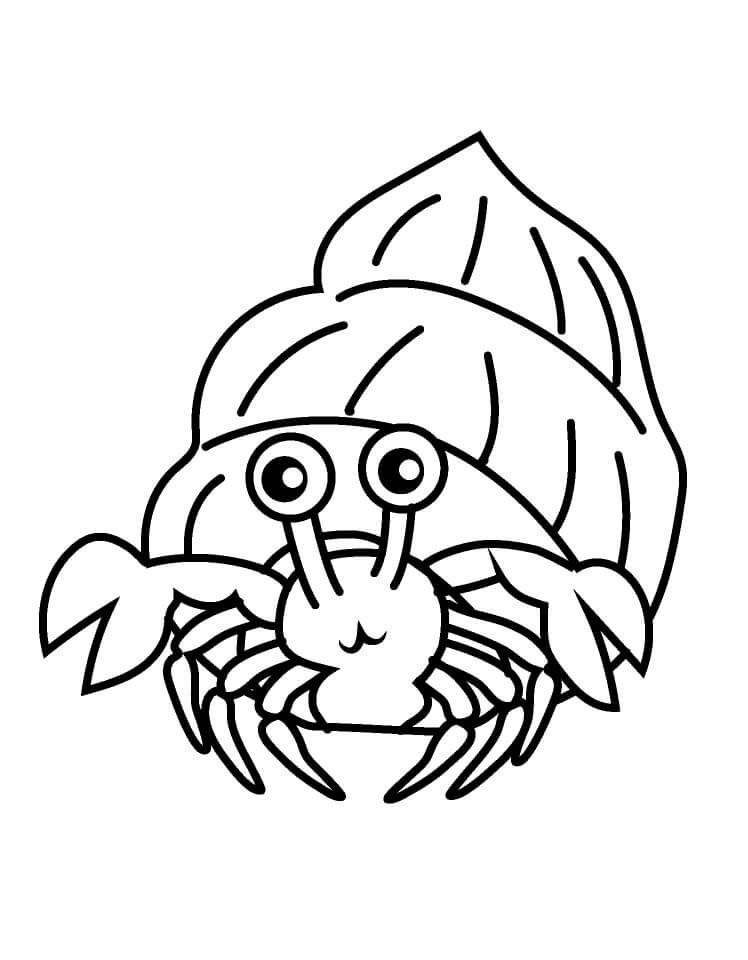 Hermit Crab 11