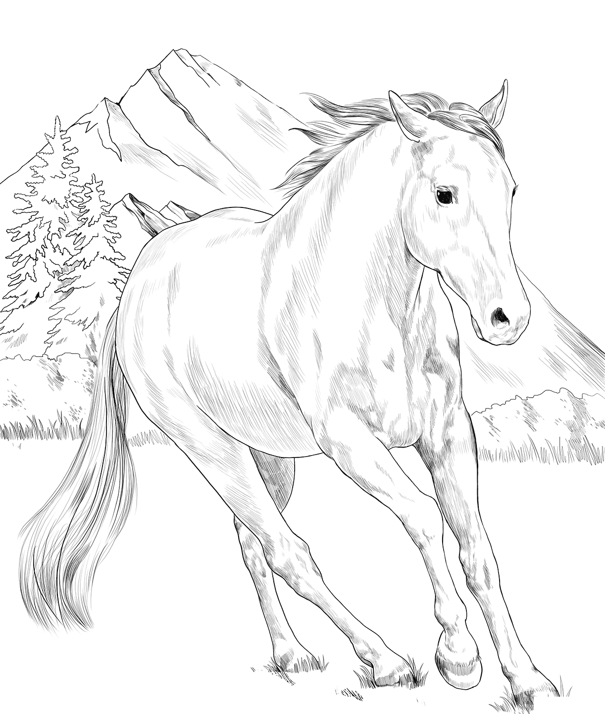 Horse American Paint Coloring Page