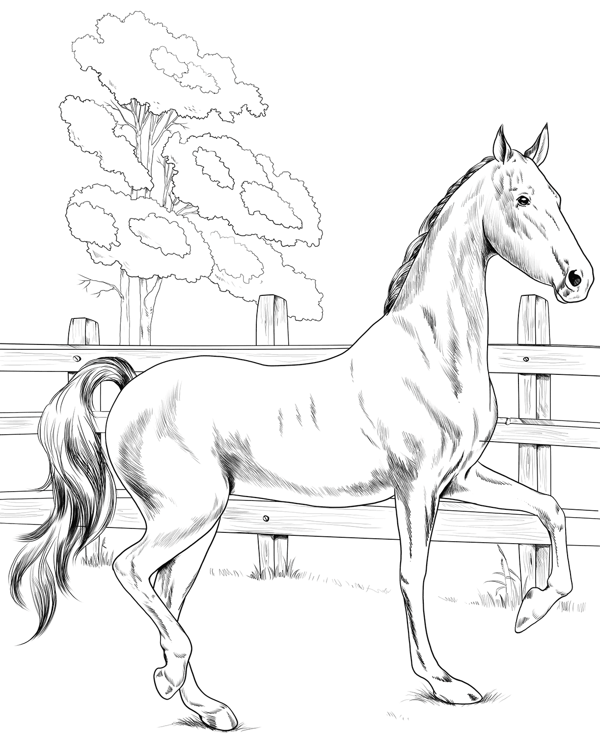 Horse American Saddlebred Coloring Page
