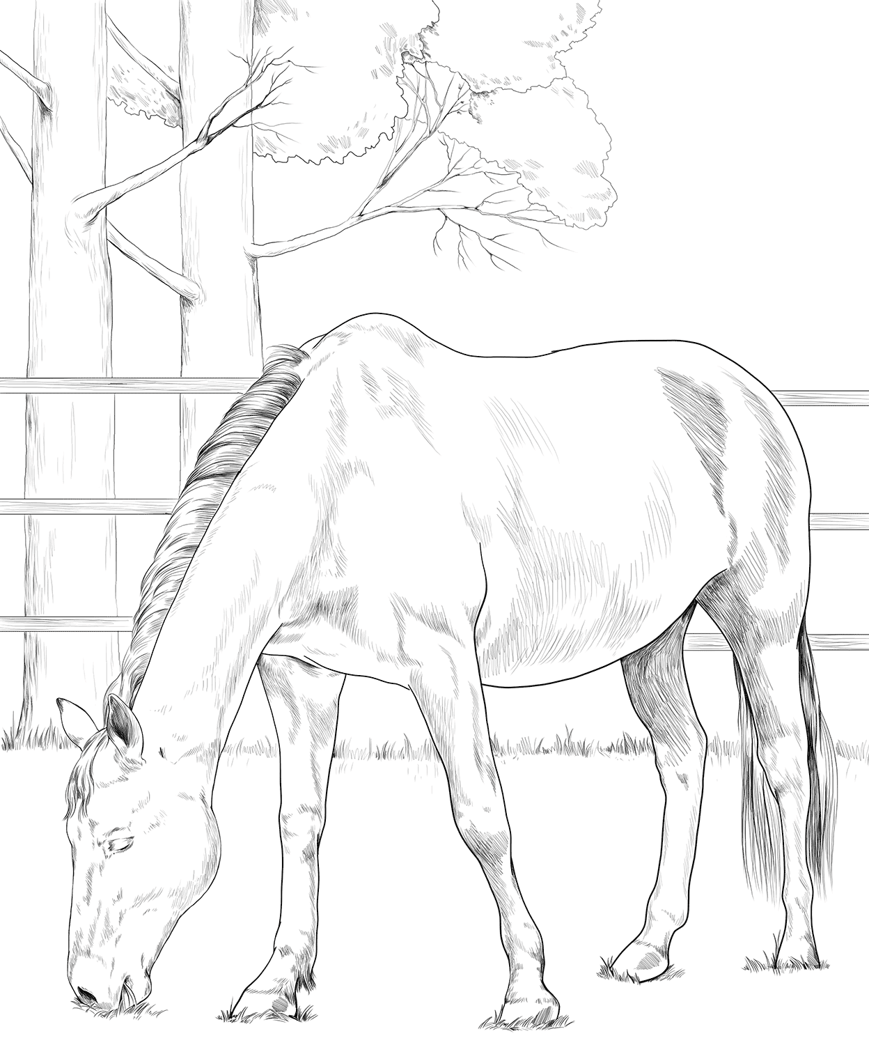 Horse Danish Warmblood Coloring Page