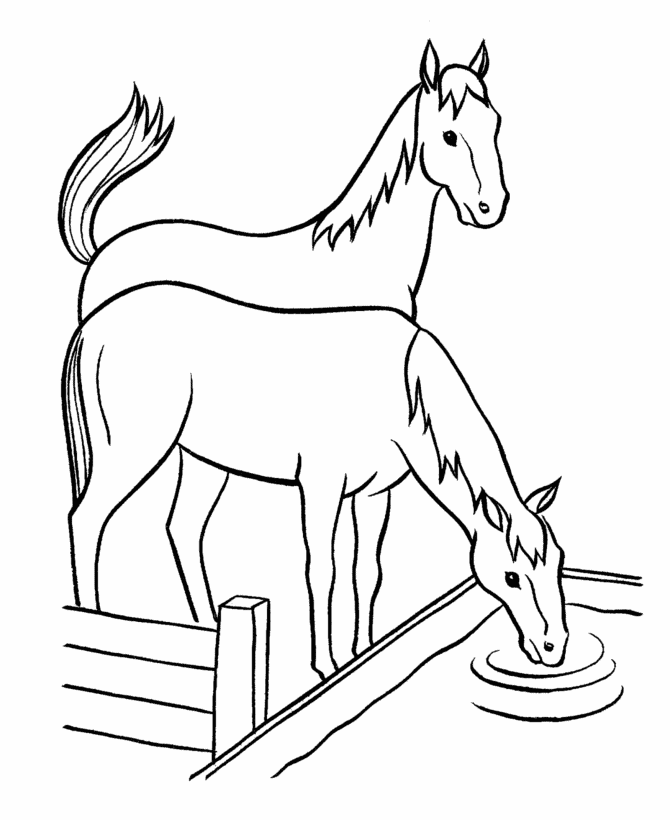 Horse Drinking Water Coloring Page
